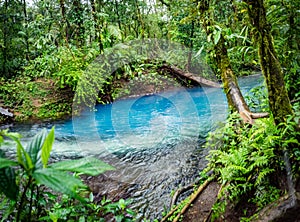 Bright blue - Rio Celeste Views around Costa Rica