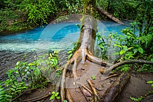 Bright blue - Rio Celeste Views around Costa Rica