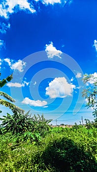 Bright Blue Sky BackgroundBlue Sky with Clouds