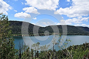 Bright Blue Sky Covers Shaded Lake
