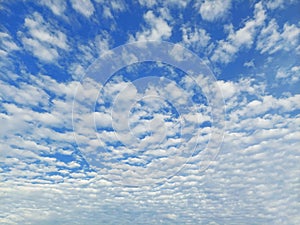 Blue Sky with Altocumulus Cloud Pattern