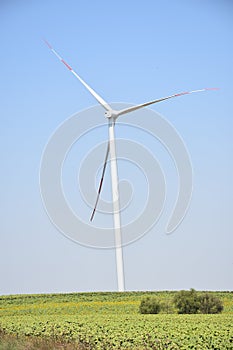 Bright blue sky moving and wind turbine