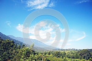 A bright blue sky over the peak