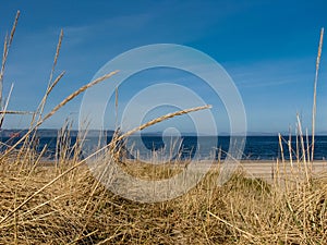 Bright blue sky over a Scottish beach