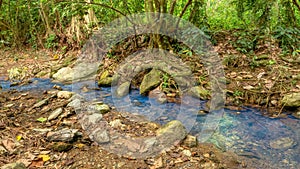 Bright blue water flowing in a stream contaminated with copper sulfate.