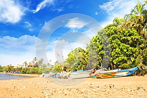 Bright boats on the tropical beach of Bentota, Sri Lanka