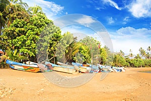 Bright boats on the tropical beach of Bentota, Sri Lanka