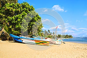 Bright boats on the tropical beach of Bentota, Sri Lanka