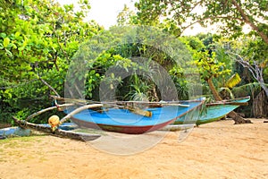 Bright boats on the tropical beach of Bentota, Sri Lanka on a sunny day