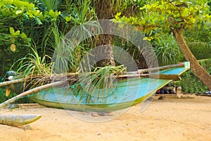 Bright boats on the tropical beach of Bentota, Sri Lanka on a sunny day