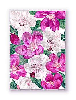 Bright botanical design. Very floral spring design with flowers and leaves of fruit trees.