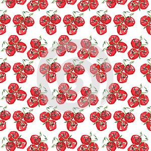 Bright branch tomatoes pattern watercolor sketch hand