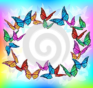 Bright butterfly blank frame