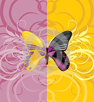 Bright butterfly on the ornamental background