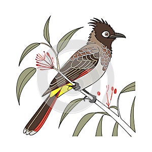 Bright Cape Bulbul Bird Artwork
