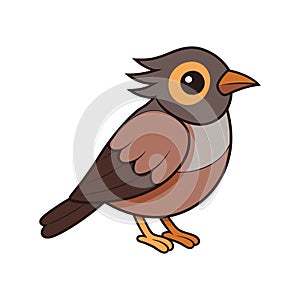 Bright Cape Bulbul Bird Artwork