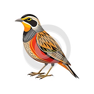 Bright Cape Longclaw Bird Artwork