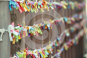 Bright and cheerful rows of o-mikuji fortunes