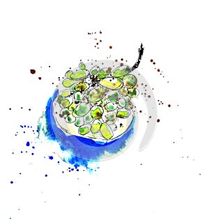Bright cheerful watercolor sketch grape branch. Elements are isolated