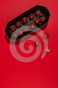 Bright cherry tomato branch, whole and slice in black paper pack box in hard light with shadow on red background, flat lay.