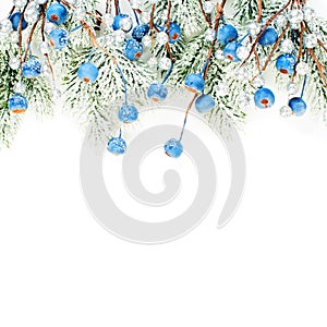 Bright Christmas card composition with blue berries and Xmas tree branch isolated on white background. Winter decorations border