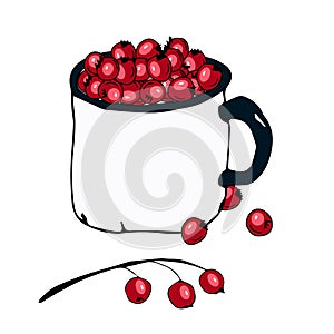 Bright christmas illustration depicting a white mug full of red berries and scattered berries nearby. Design for printing