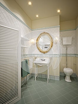 Bright classic traditional laundry room and bathroom interior