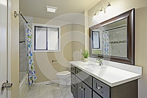 Bright clean bathroom interior with espresso vanity cabinet