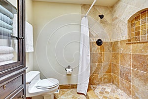 Bright clean interior of bathroom with brown tile