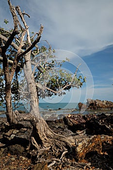 Bright clear blue sky and sea in summer time