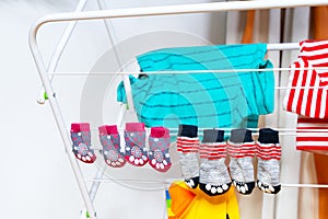 Bright clothes for dogs T-shirt, socks hanging on clothes dryer after washing