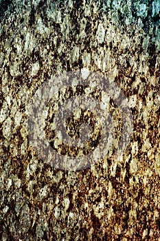 Bright color abstraction. Gradient lines. Smooth transitions