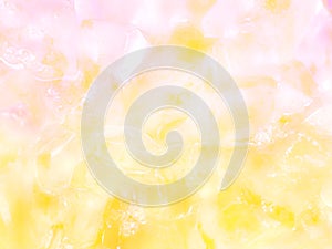 Bright color background series. Soft color of yellow and pink background
