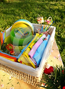 Bright color summer picnic accessories