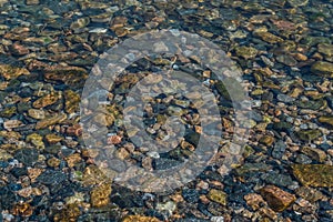 Bright colored blue small pebbles in clear water sparkles in sun, morning lake baikal