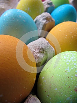 Bright colored Easter eggs in an egg carton