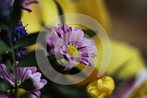 bright colored flower bouquet detail