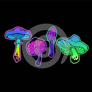 bright colored mushrooms