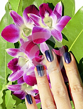 Bright colored photo of fingernails with manicure