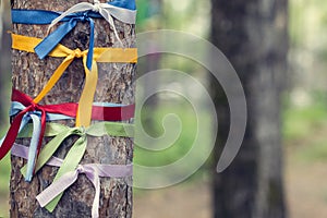 Bright colored ribbons tied around a tree. Religious Tradition of Buddhists