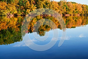 Bright colorful autumn forest landscape, trees near river and blue sky