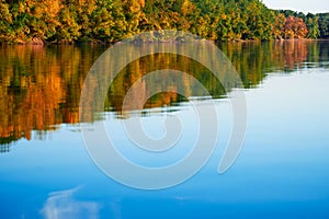 Bright colorful autumn forest landscape, trees near river and blue sky