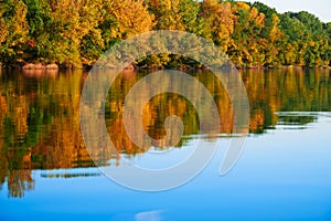 Bright colorful autumn forest landscape, trees near river and blue sky