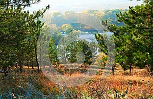 Bright colorful autumn forest landscape, trees near river and blue sky, view from high hill