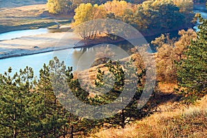 Bright colorful autumn forest landscape, trees near river and blue sky, view from high hill