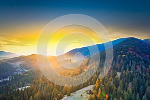 Bright colorful autumn forest and meadow at dawn. Drone view