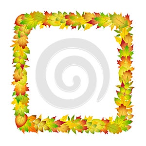 Bright colorful autumn leaves frame for design on white, stock vector illustration