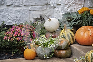 Bright colorful autumn pumpkins and flowers arranged on steps agains white painted stone wall photo
