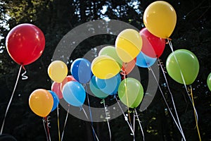 Colorful balloons on black background photo