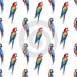 Bright colorful beautiful lovely sophisticated jungle tropical yellow, green, red and blue big tropical parrots diagonal pattern w